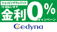 10回払いまで金利0%