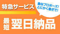 特急サービス最短翌日納品