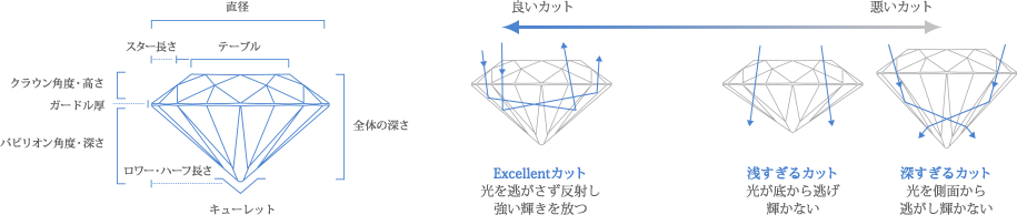 プロポーションの解説